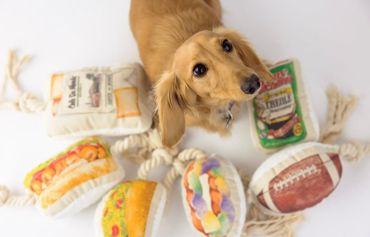 Taco Dog Rope Toy