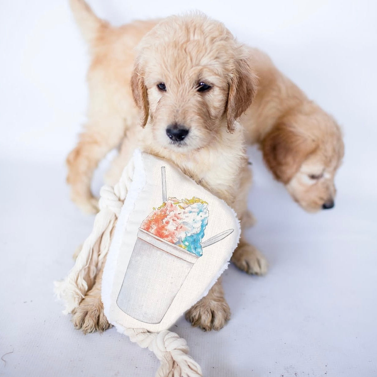 Snowball Dog Rope Toy