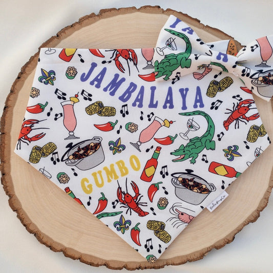 Cajun Cooking Over the Collar Bandana