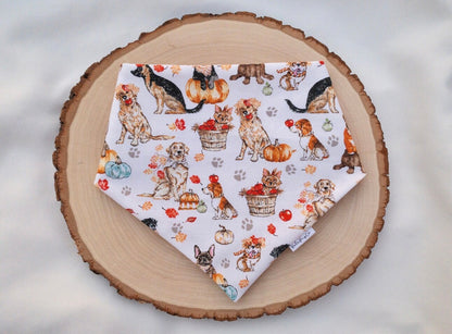 Fall Over the Collar Bandana