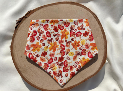 Fall Leaves Over the Collar Bandana